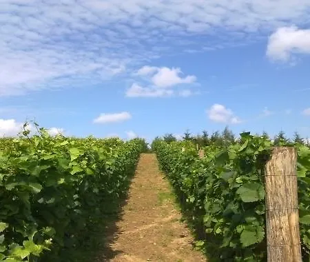 U Idalii לינה וארוחת בוקר סטארה יוצ'י